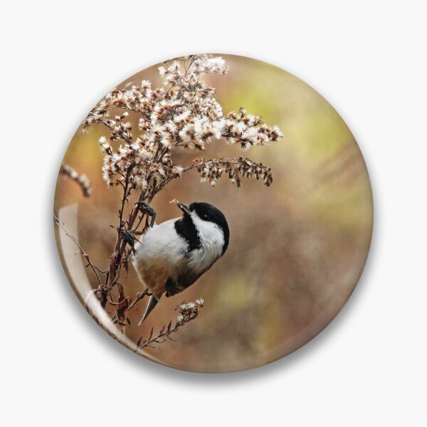 Item preview, Chickadee At Goldenrod Feeder designed and sold by Debbie Oppermann.