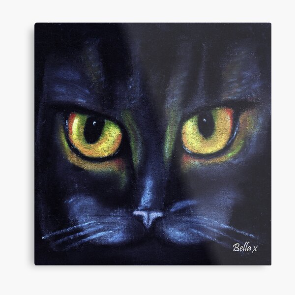 Cat's Eyes Metal Print