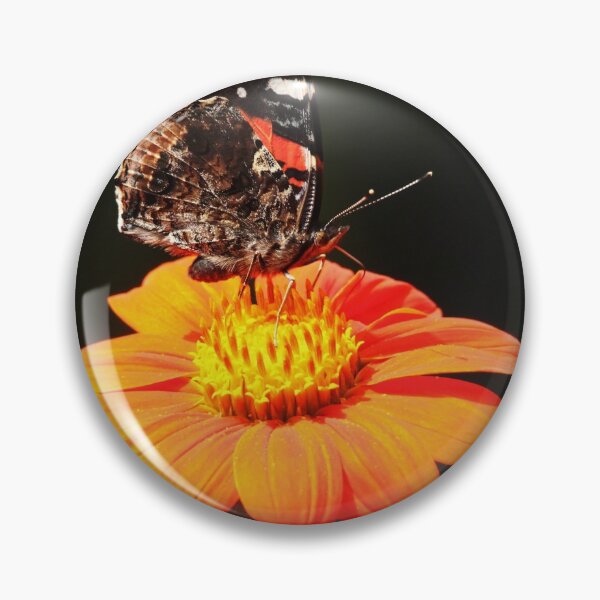 Artikelvorschau, Herbst Red Admiral entworfen und verkauft von Debbie Oppermann.