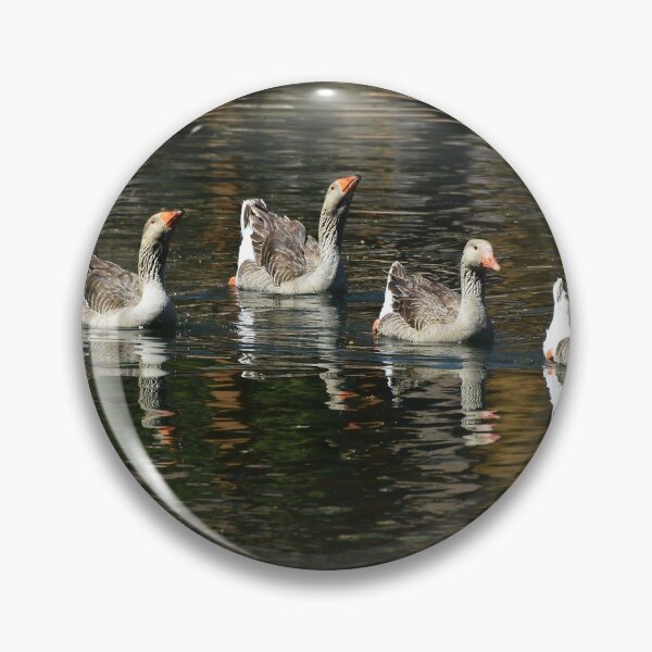 Item preview, Swans in a row designed and sold by 1lookingglass.