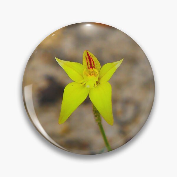 Item preview, Cowslip orchid - square designed and sold by Jason Gilbert.
