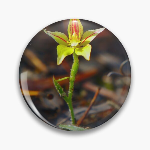 Item preview, Cowslip orchid - portrait designed and sold by Jason Gilbert.
