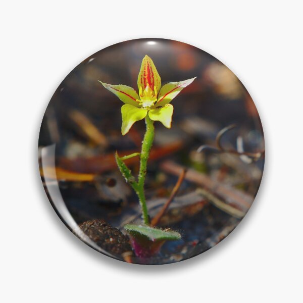 Item preview, Cowslip orchid - landscape designed and sold by Jason Gilbert.