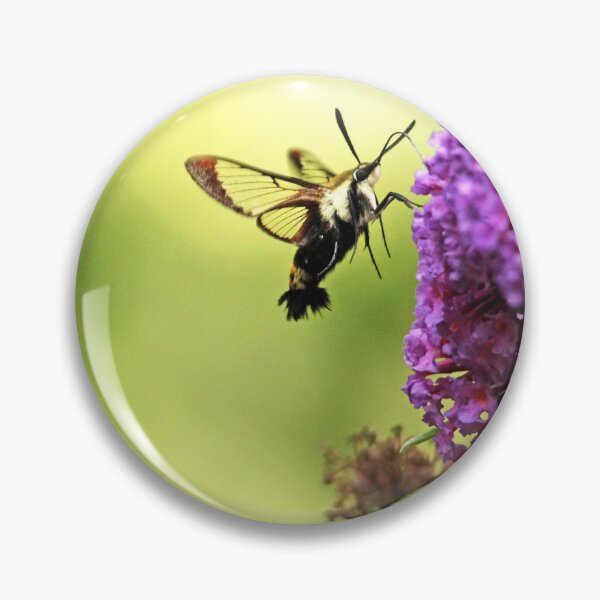 Item preview, Hummingbird Clearwing designed and sold by Debbie Oppermann.