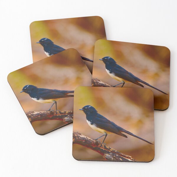 Item preview, Willie Wagtail - Square designed and sold by Jason Gilbert.