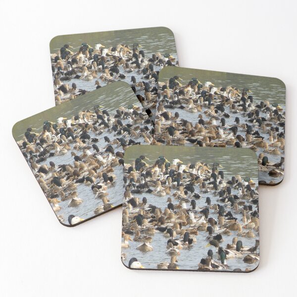 Item preview, Lots of Ducks Swimming in a Pond in India designed and sold by worldways.