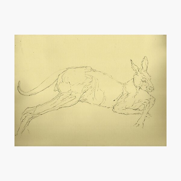 Item preview, Kangaroo designed and sold by camlette.