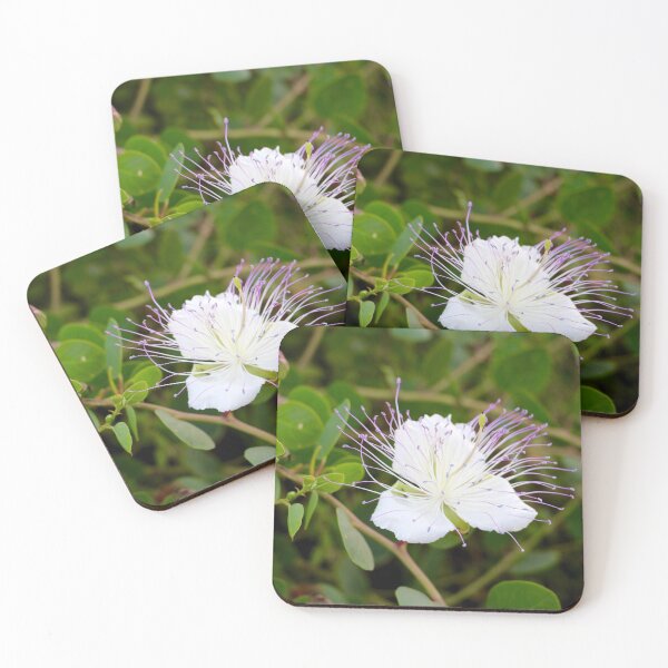 Item preview, Caper Blossom designed and sold by Emmaline Jones.