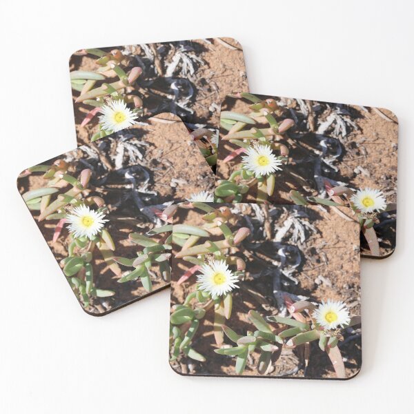 Item preview, White Flower - daisy like designed and sold by STHogan.
