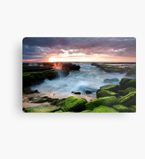 Turimetta Colour Metal Print