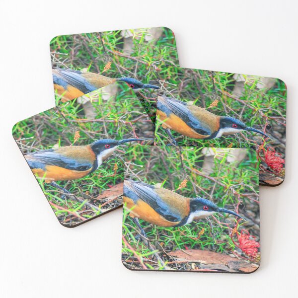 Item preview, Eastern Spinebill designed and sold by Luke Foster.