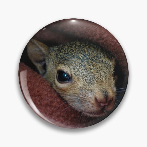 Item preview, Safe to Exit? designed and sold by Karen Peron.