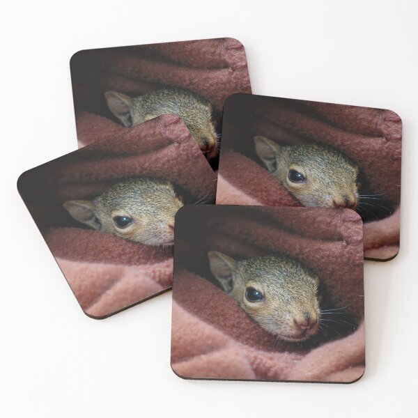 Item preview, Safe to Exit? designed and sold by Karen Peron.