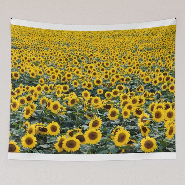 Item preview, Sunflower field blooming in Wisconsin designed and sold by photos-thoughts.