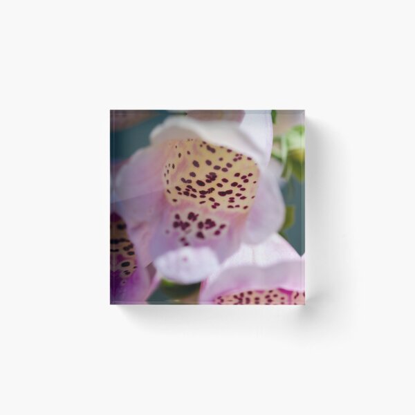 Item preview, foxglove designed and sold by gwen wooten.