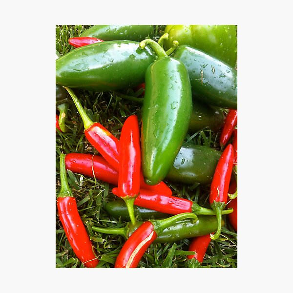 Item preview, Spicy Chili's  designed and sold by LoveJess.
