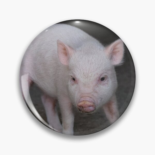 Item preview, Piggy designed and sold by theartsyeq.