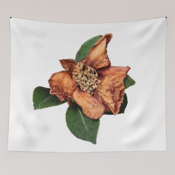 Item preview, Faded Beauty  designed and sold by heatherfriedman.
