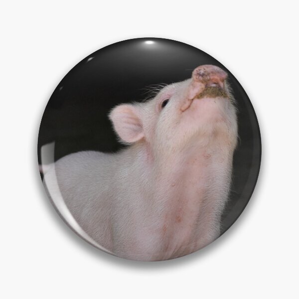 Item preview, Piggy designed and sold by theartsyeq.