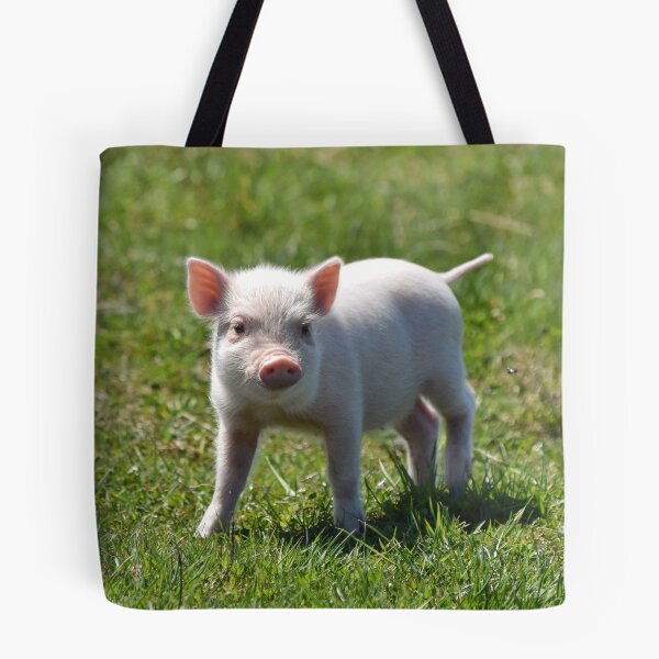 Item preview, Piggy designed and sold by theartsyeq.
