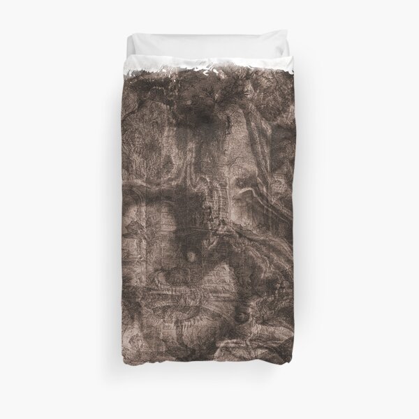 The Atlas of Dreams - Plate 38 Duvet Cover