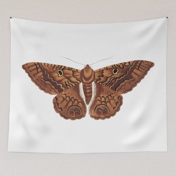 Item preview, Brown Butterly Vintage Illustration designed and sold by madeinatlantis.
