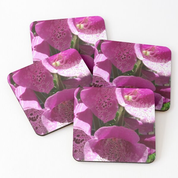 Item preview, Foxgloves designed and sold by Tamara McDonnell.