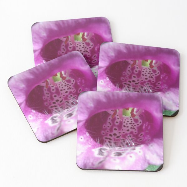 Item preview, Indifox designed and sold by Tamara McDonnell.