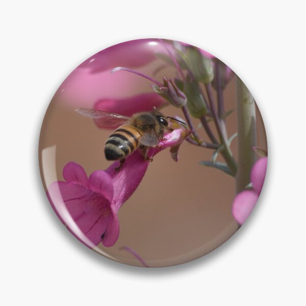 Item preview, Bee on pink flower  designed and sold by 1lookingglass.