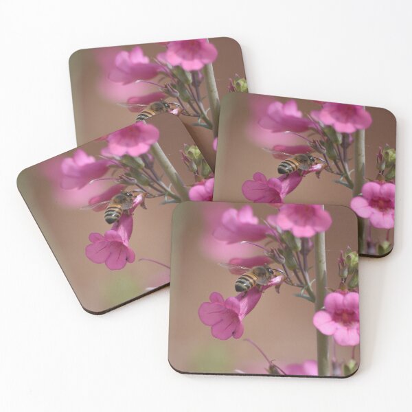 Item preview, Bee on pink flower  designed and sold by 1lookingglass.