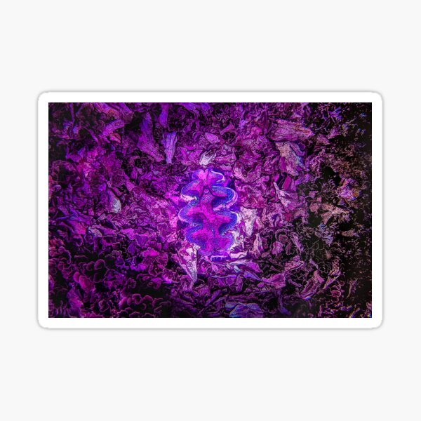 Iridescent Giant Pink Blue Clam - Mixed Media DiveArt Sticker
