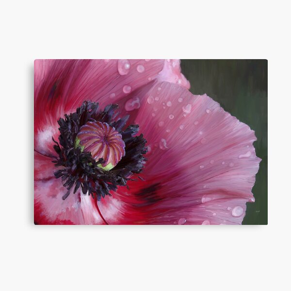 Three flowers: Red - The poppy weeps Metal Print