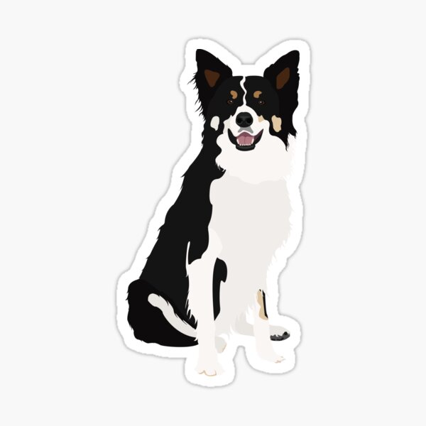 Item preview, Border Collie Dog Sitting designed and sold by simonescha.