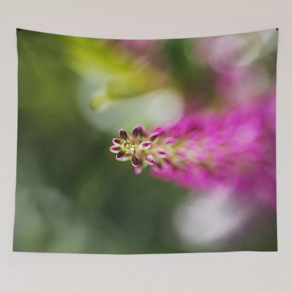 Item preview, Hebe Pink Bloom designed and sold by Joy Watson - Natural Light Photography .