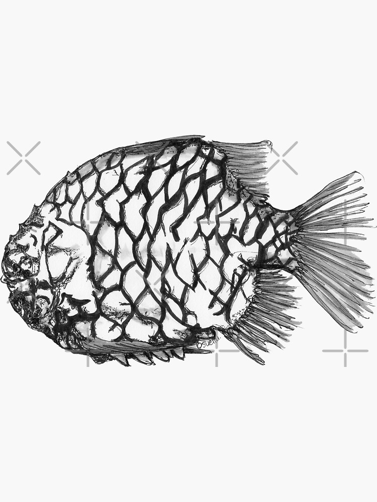 Bridget the Pineapple Fish by Wildcard-Sue