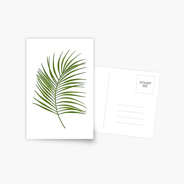 Leaf Print - 1 Postcard