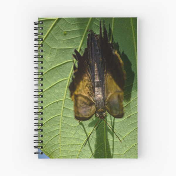 Item preview, Buggin Out designed and sold by 1lookingglass.