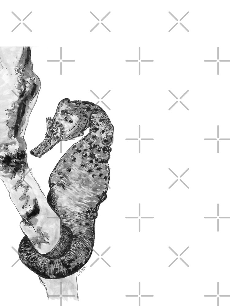 Sandra the Seahorse by Wildcard-Sue
