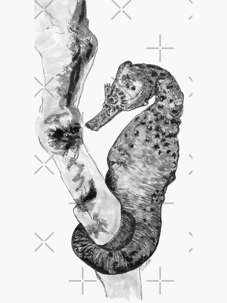 Sandra the Seahorse by Wildcard-Sue