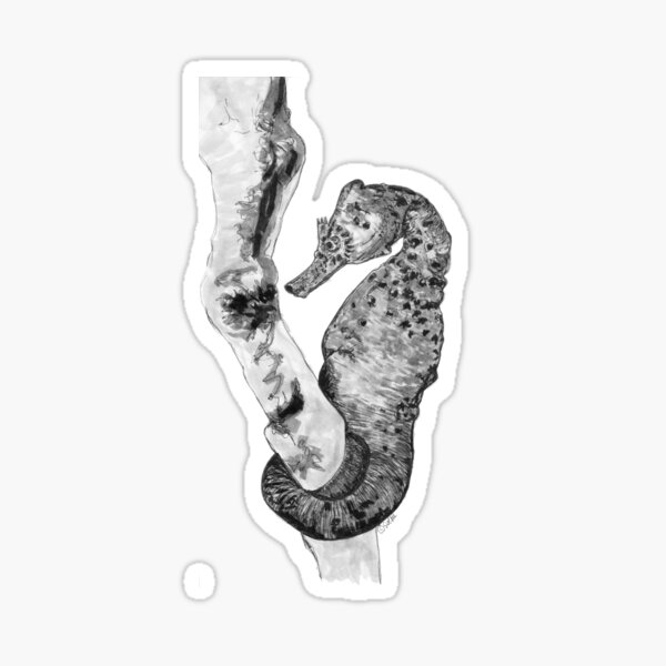Sandra the Seahorse Sticker