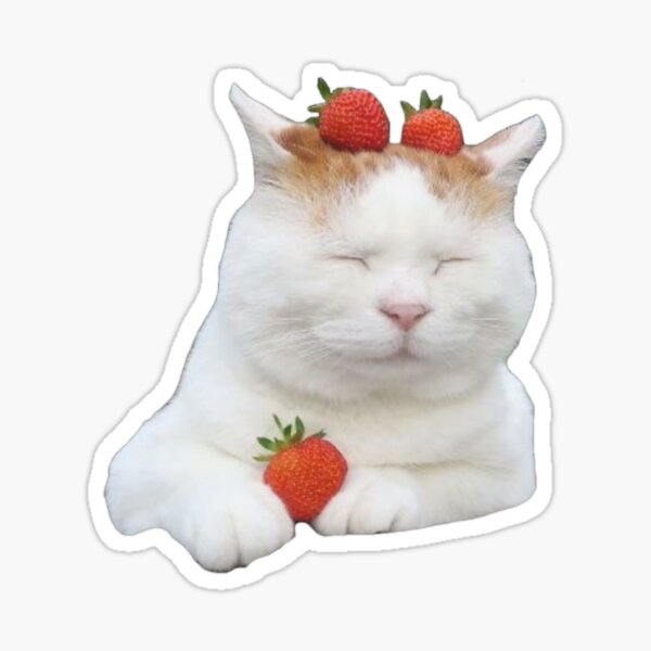 cottagecore kitty Sticker