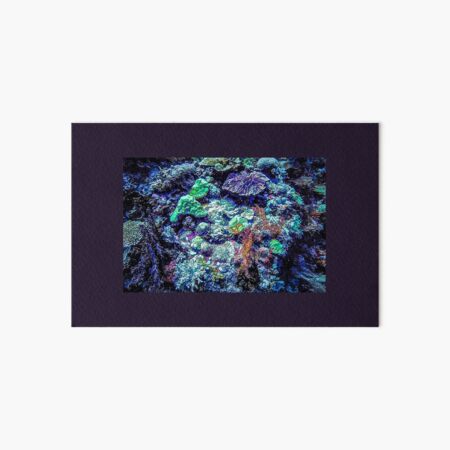 Coral Reef Diversity Deep Blue Sea - Mixed Media DiveArt Art Board Print