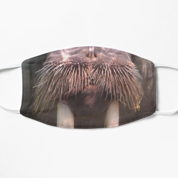 Walrus (Uquq) Flat Mask