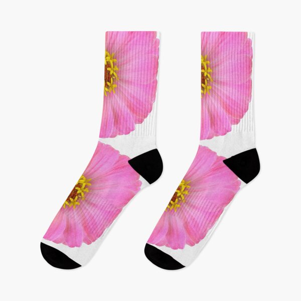 Item preview, Pink Zinnia Flower One Single Close Up designed and sold by 104paul.