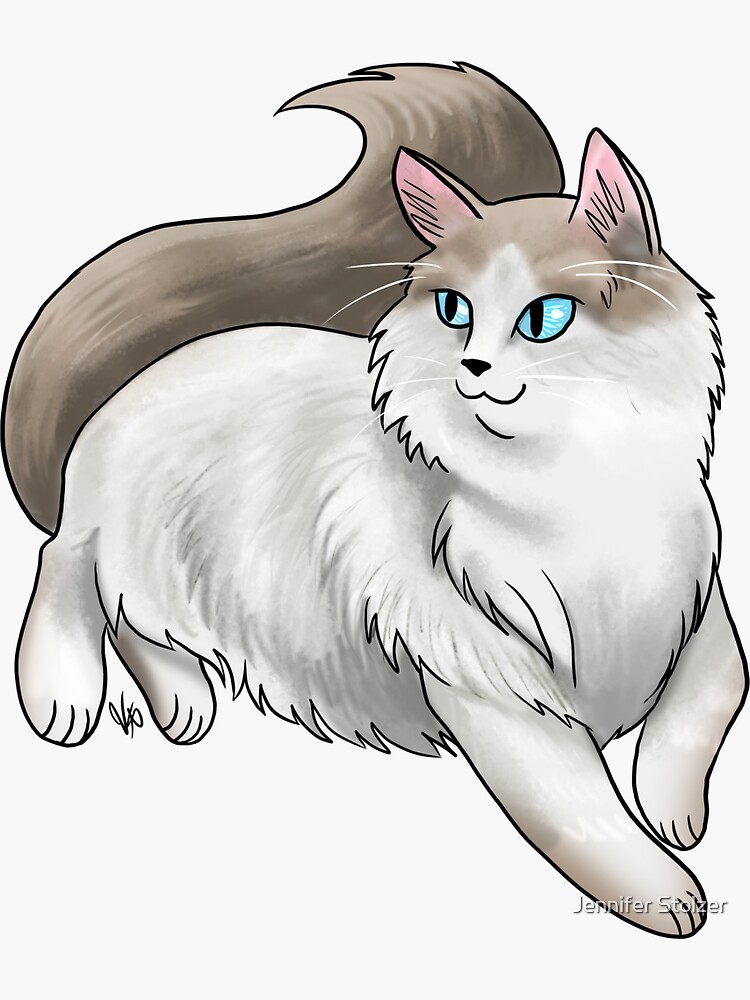 Ragdoll Cat - White and Tan by jameson9101322