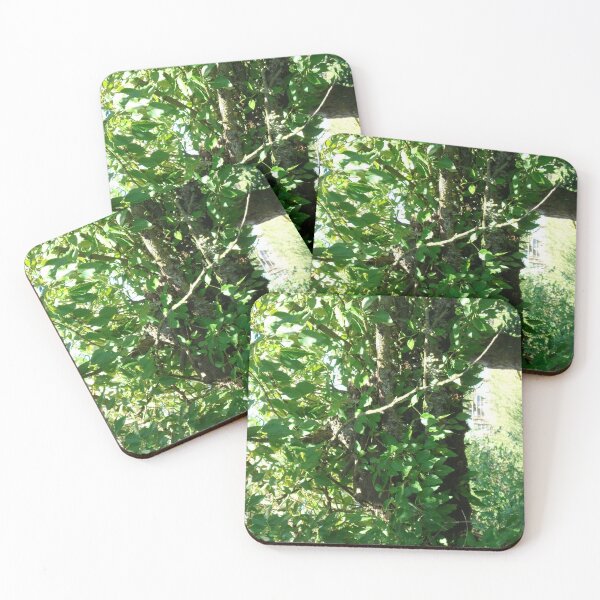Item preview, Obsesión designed and sold by Tamara McDonnell.
