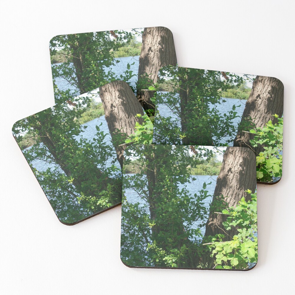 Item preview, Coasters (Set of 4) designed and sold by xanthriah.