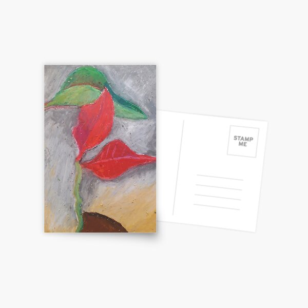 Poinsettia a flower Postcard