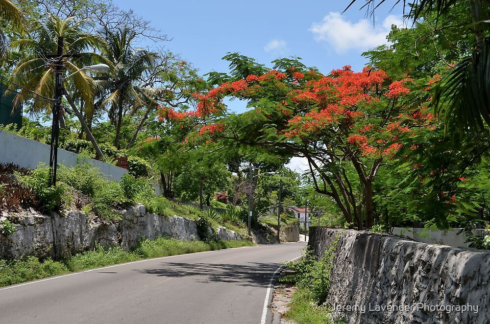 "Eastern Road in Nassau, The Bahamas" by Jeremy Lavender Photography