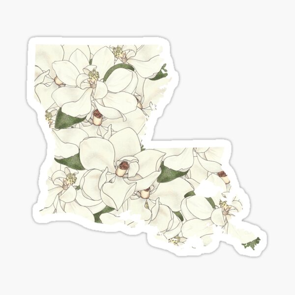 Magnolia Louisiana State Flower Merch & Gifts for Sale